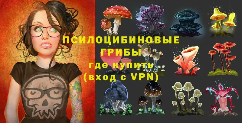 Псилоцибиновые грибы MAGIC MUSHROOMS  где продают   Дрезна 